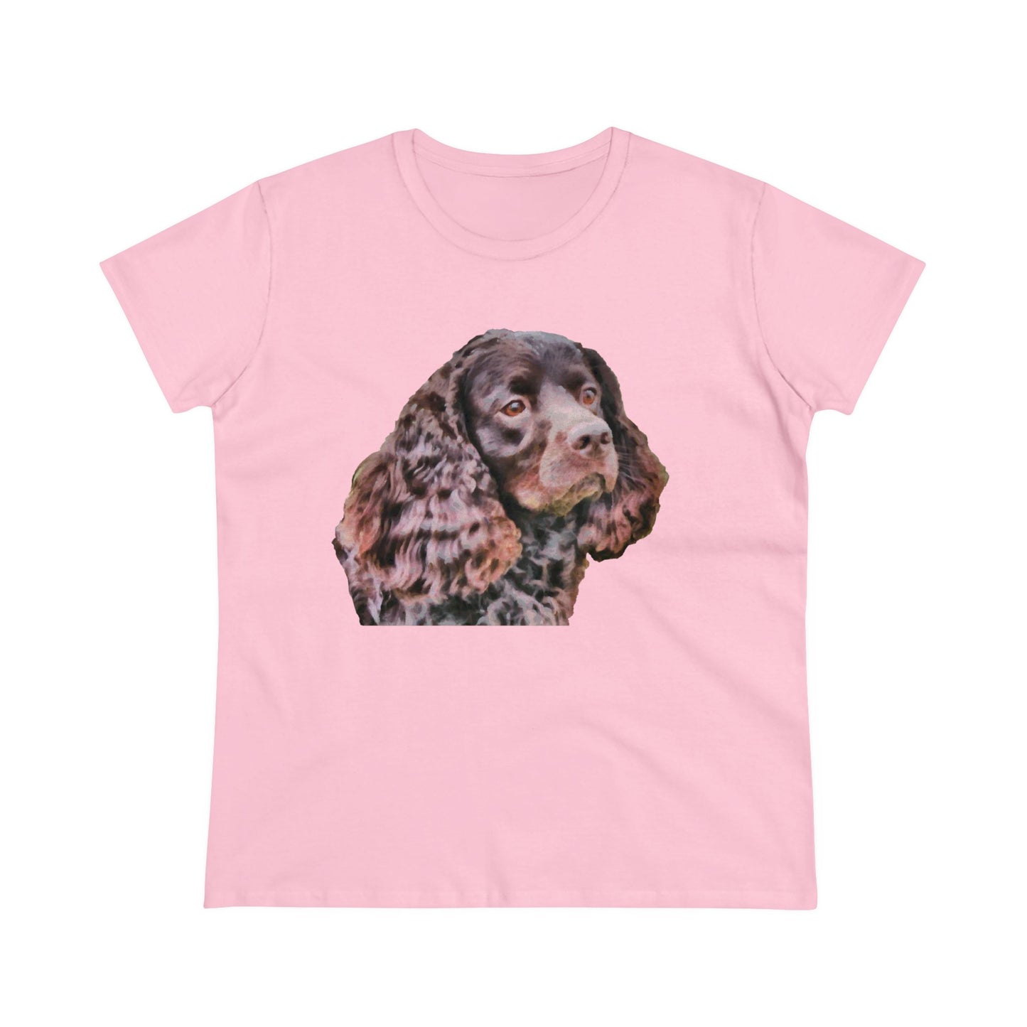 American Water Spaniel Women's Midweight Cotton Tee