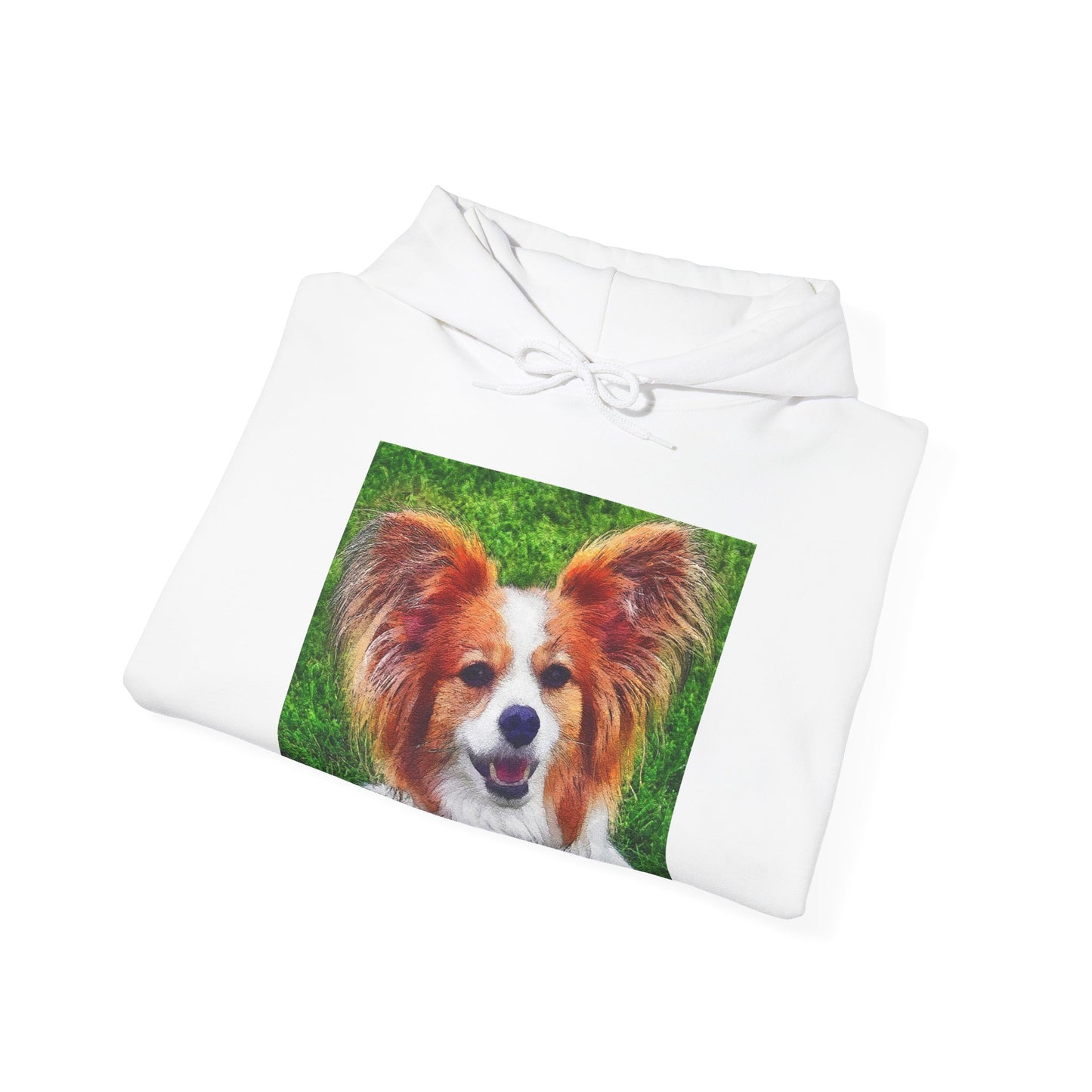 Papillon Unisex 50/50 Hoodie