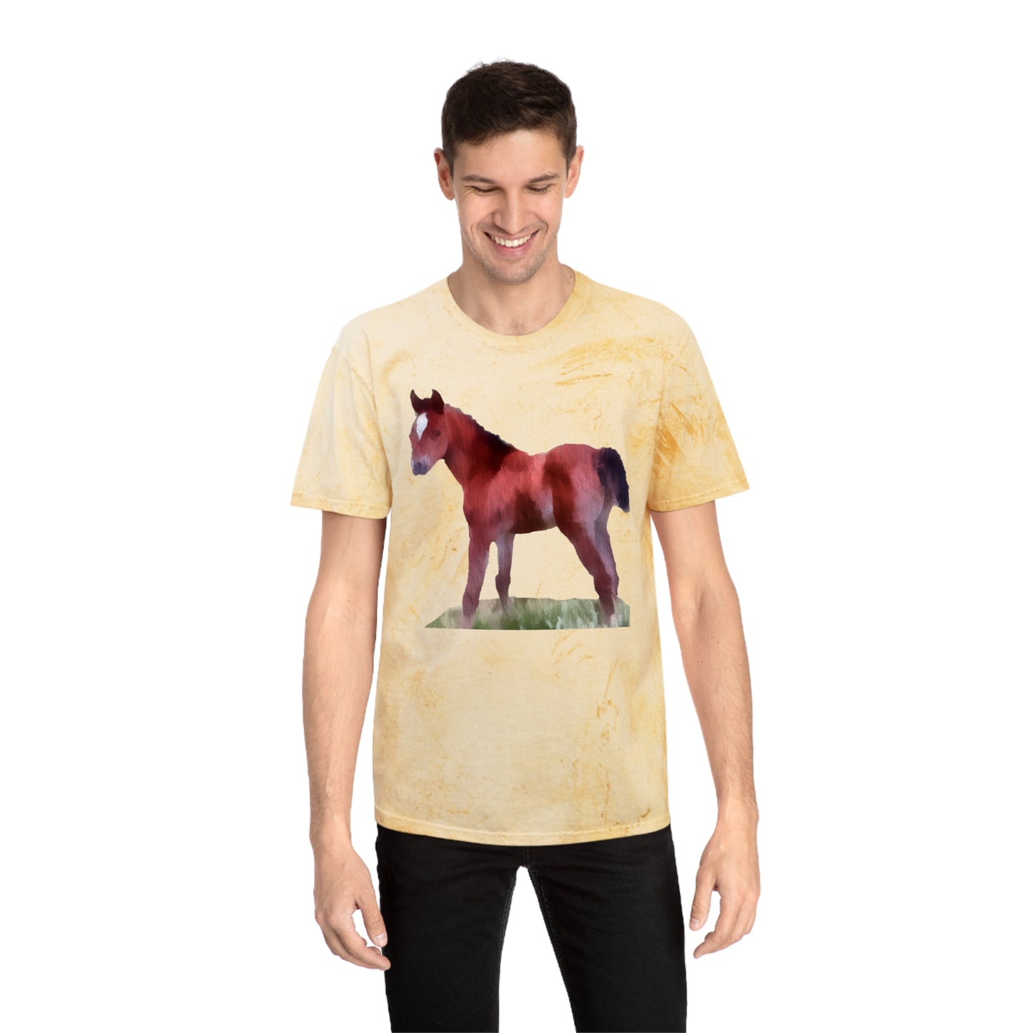 Horse 'Contata' Unisex Cotton Color Blast T-Shirt