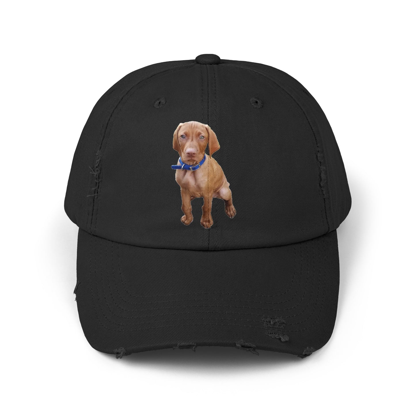 Vizsla Augie Test Unisex Distressed Cap