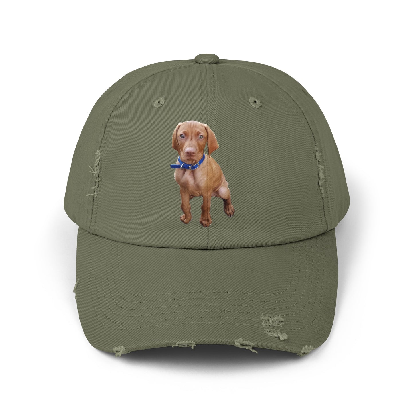 Vizsla Augie Test Unisex Distressed Cap