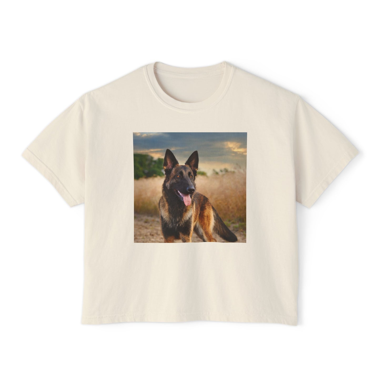 Dutch Sheepdog Women's Oversized Boxy Tee