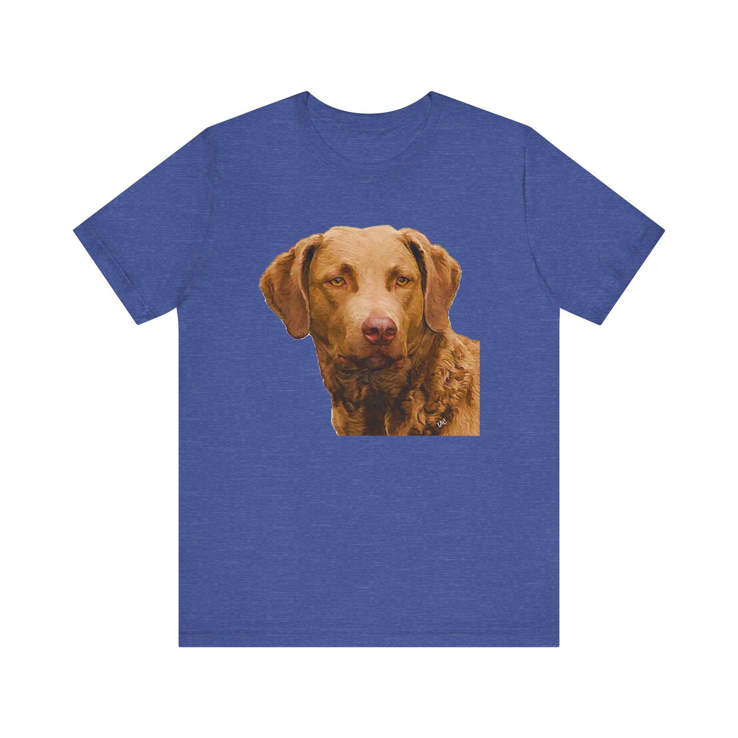 Chesapeake Bay Retriever Unisex Jersey Short Sleeve Tee