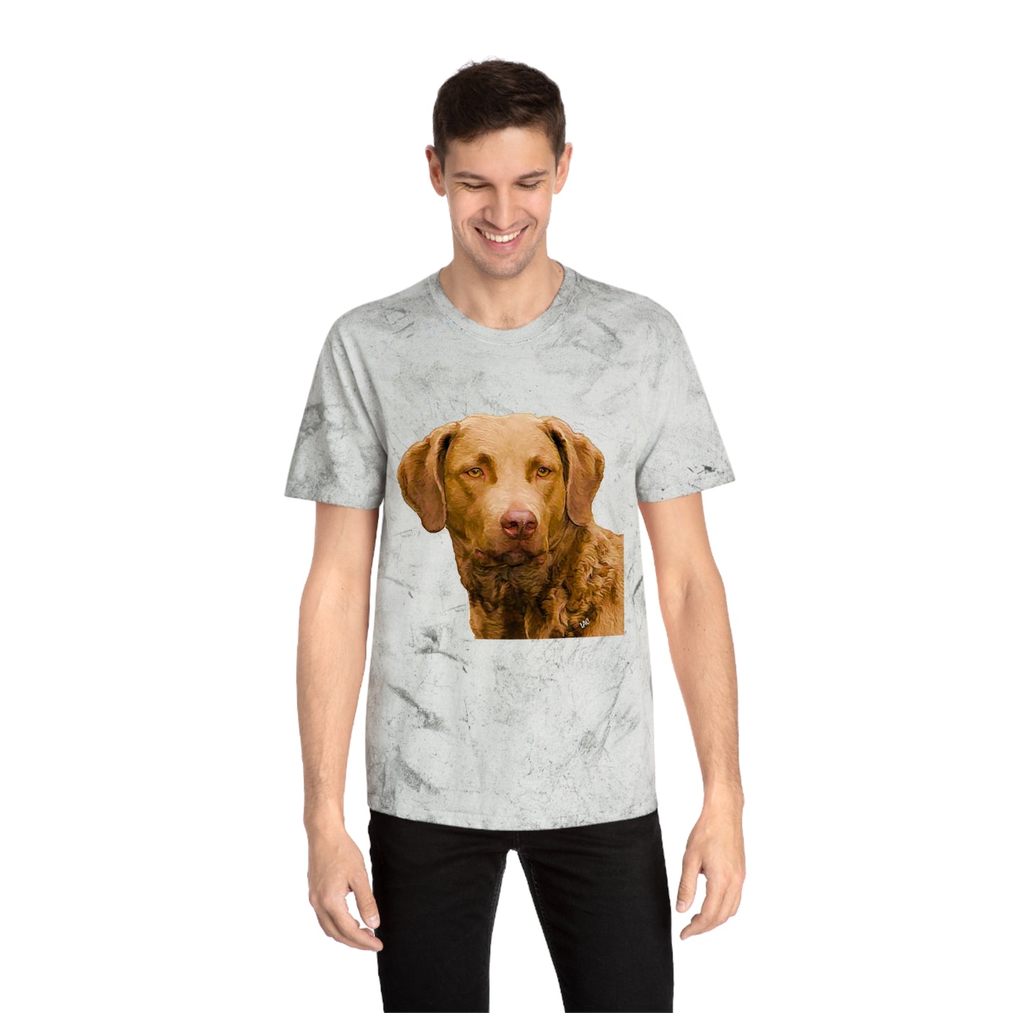Chesapeake Bay Retriever Classic Color Blast T-Shirt