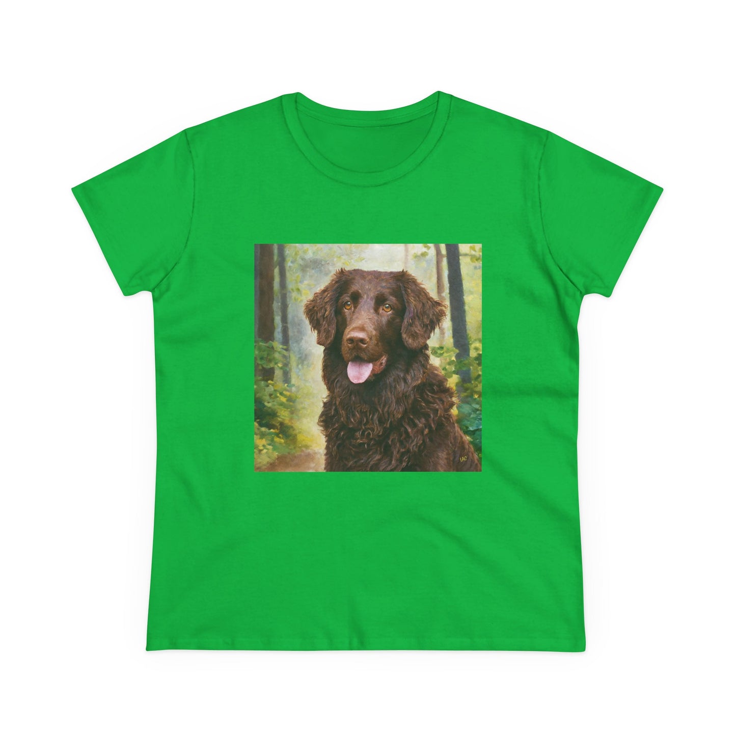 Curly-Coated Retriever Women's Midweight Cotton Tee