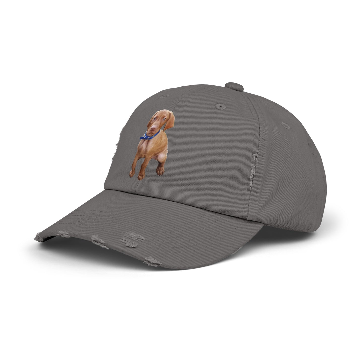Vizsla Augie Test Unisex Distressed Cap