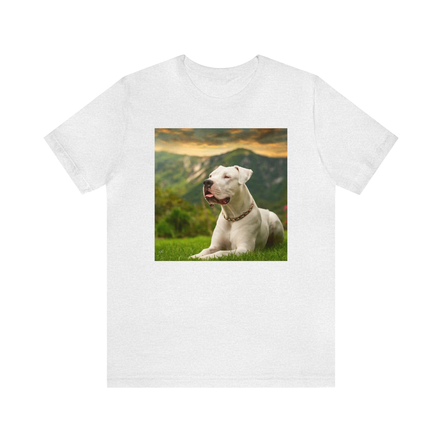 Dogo Argentino - Classic Jersey Short Sleeve Tee