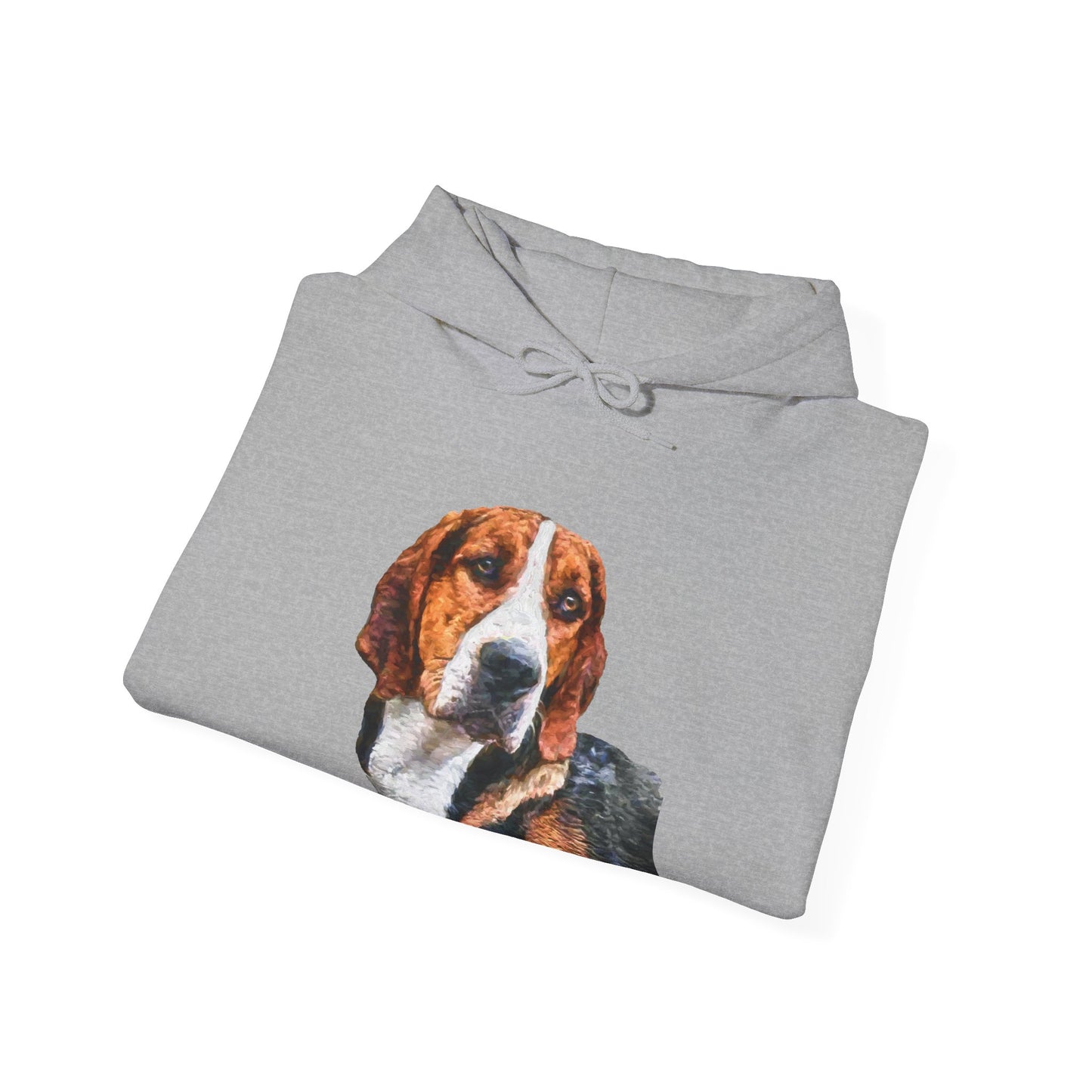 Hamiltonstovare Unisex 50/50 Hoodie: Cozy Adventure Awaits