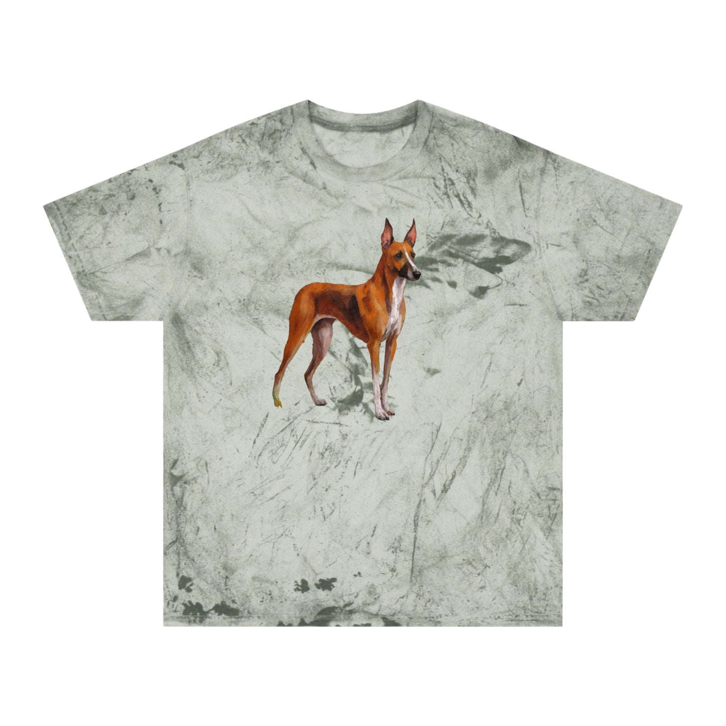 Azawakh Unisex Color Blast T-Shirt: Wear Your Art