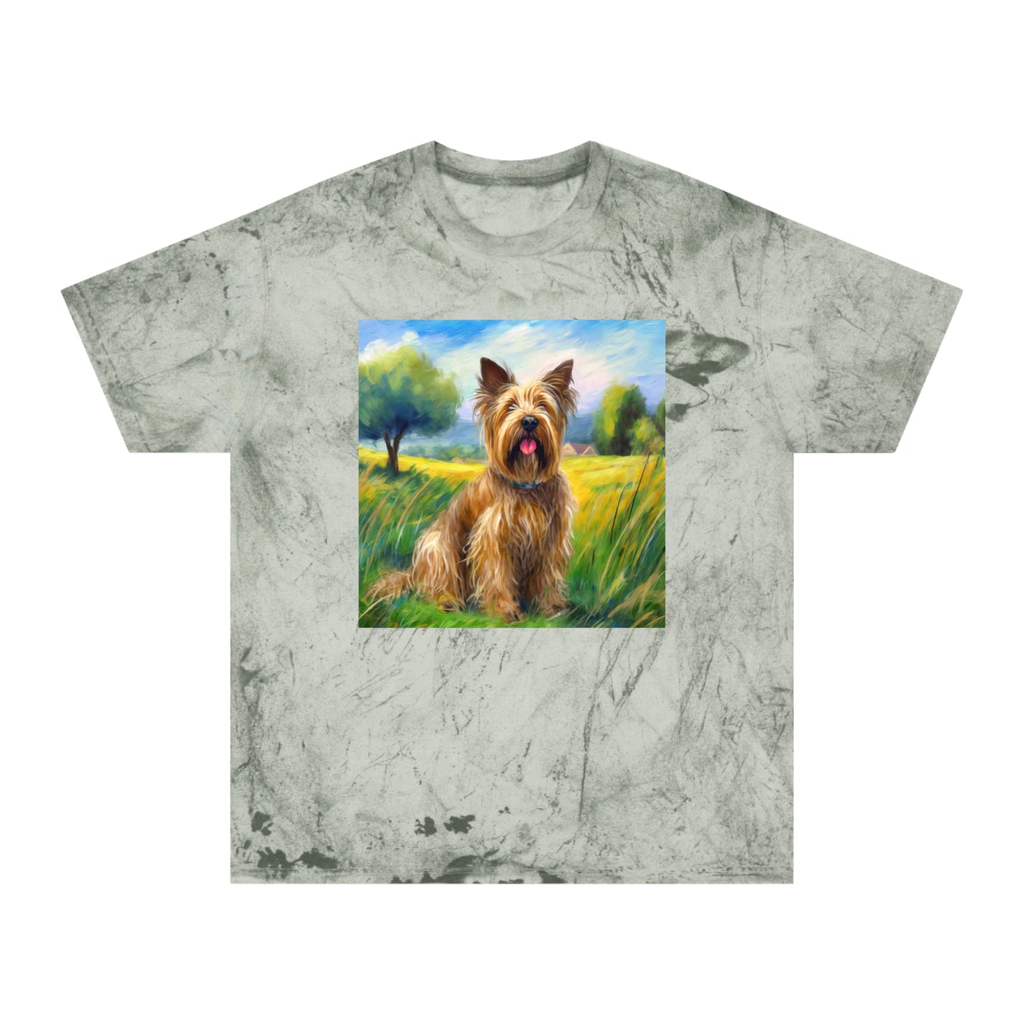 Briard Classic Color Blast T-Shirt