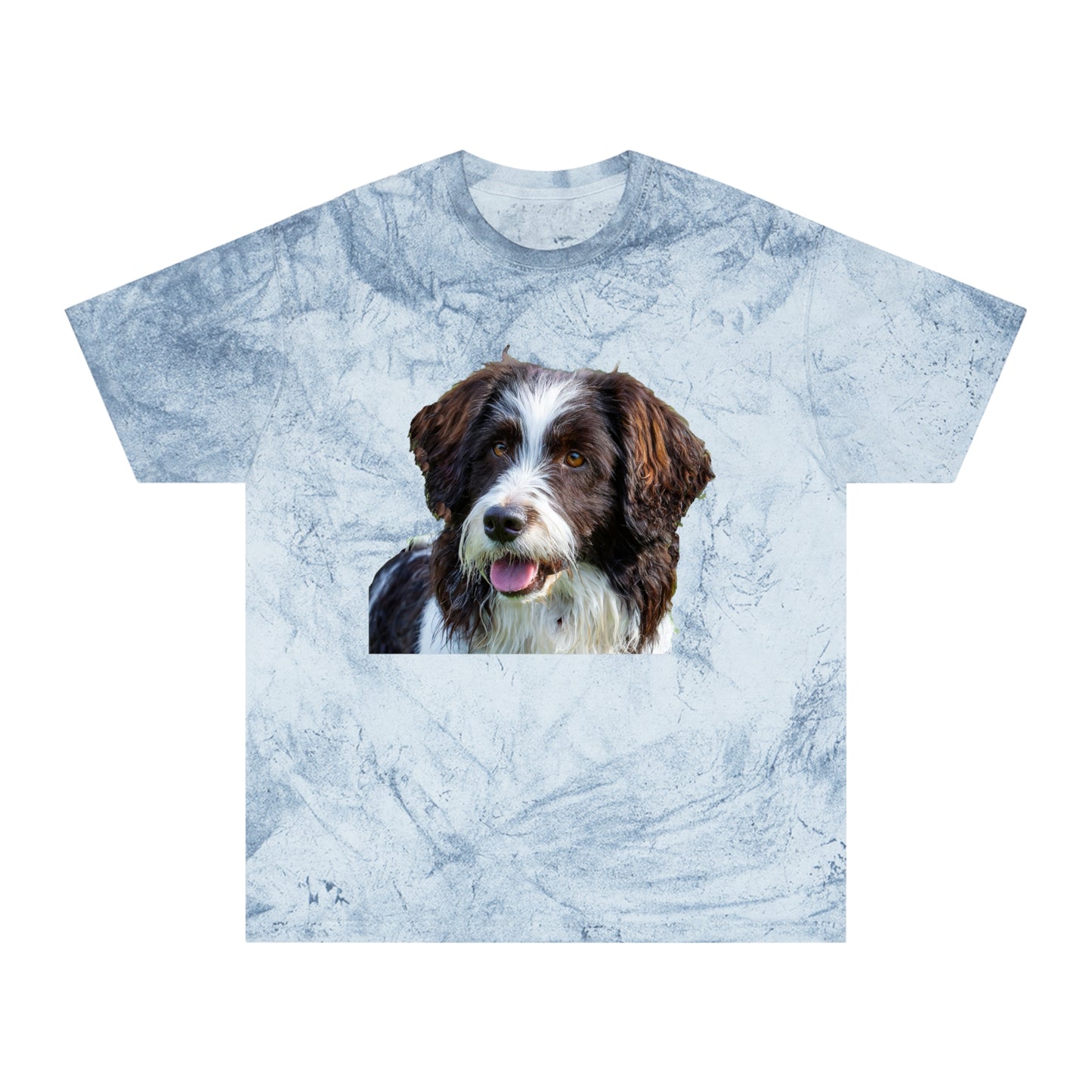 Drentsche Patrijshond Classic Color Blast T-Shirt