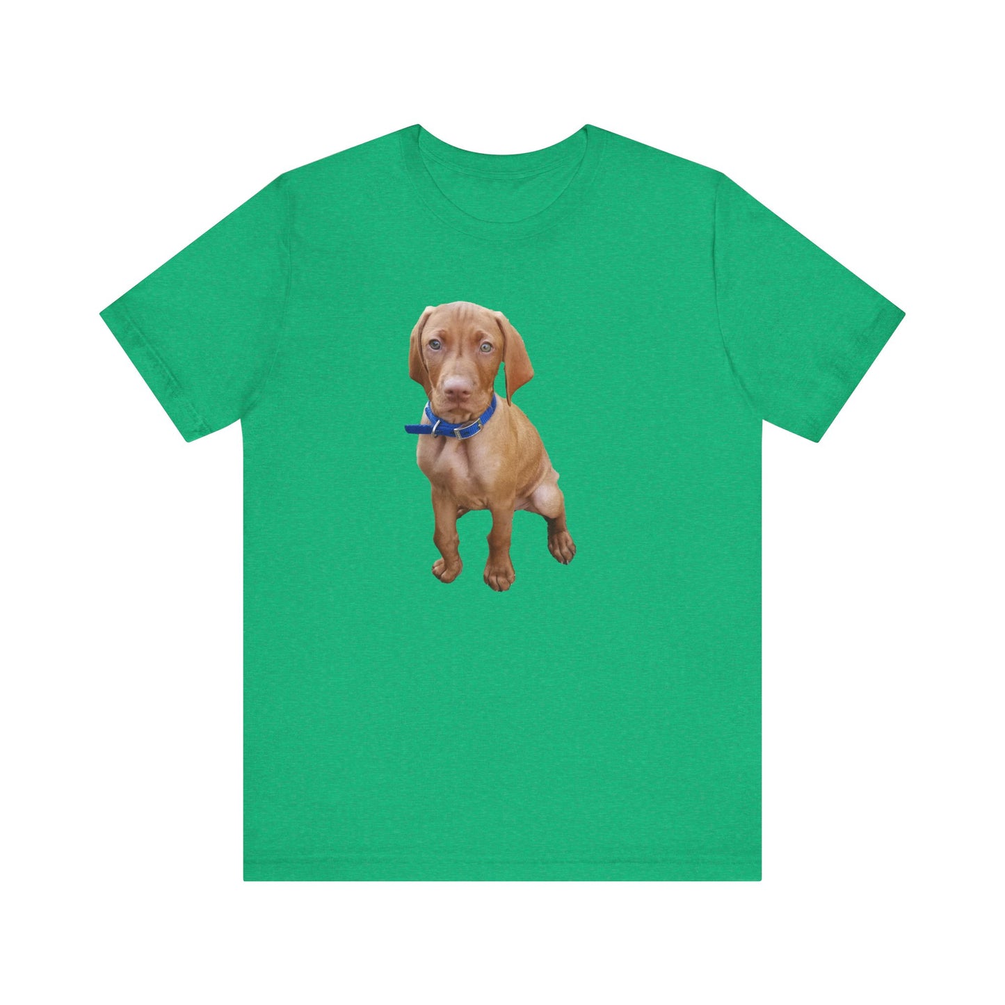 Vizsla 'Augie' Unisex Jersey Short Sleeve Tee