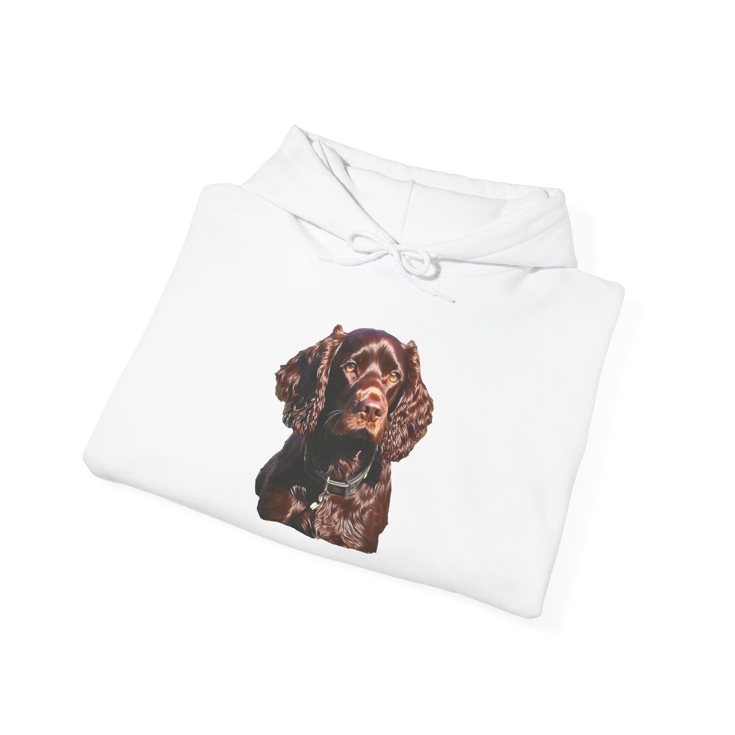 Boykin Spaniel -- Unisex 50/50 Hooded Sweatshirt