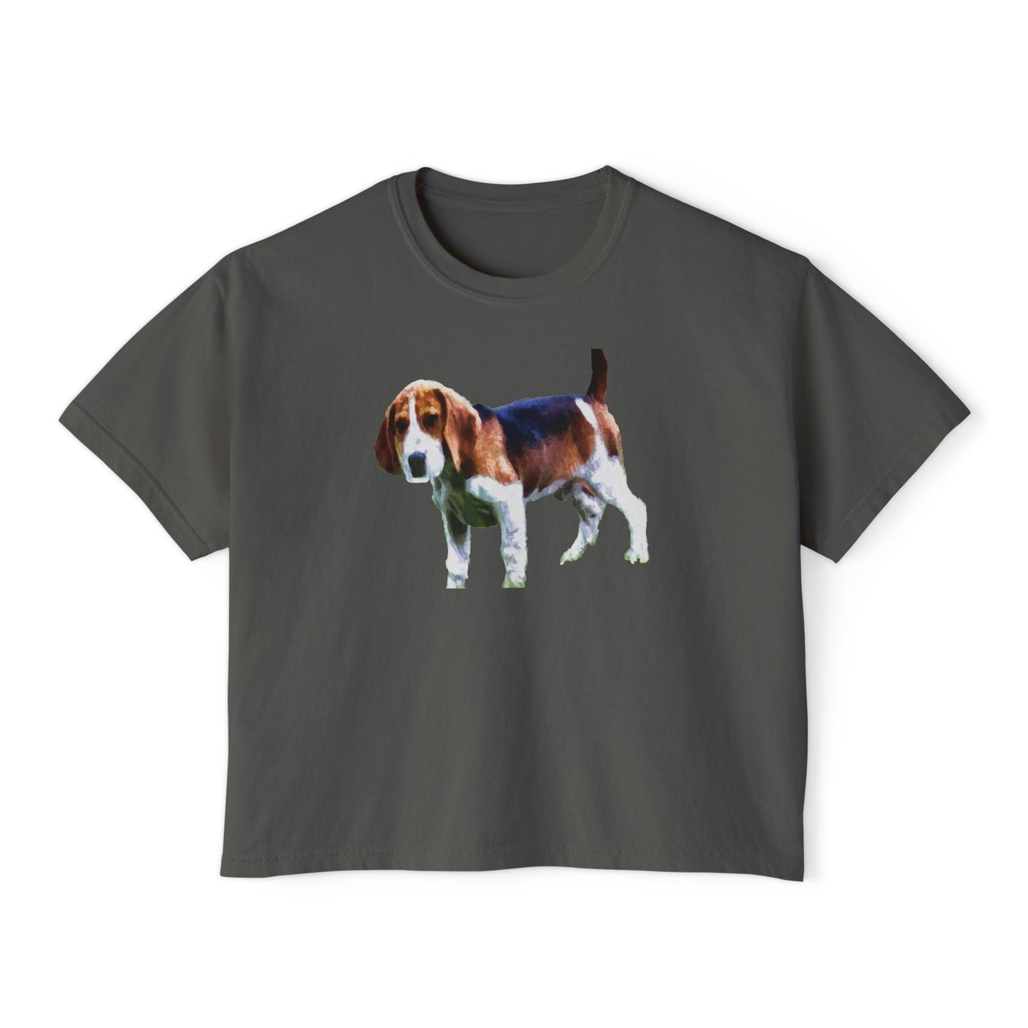 American Foxhound Women's Oversized Boxy Tee