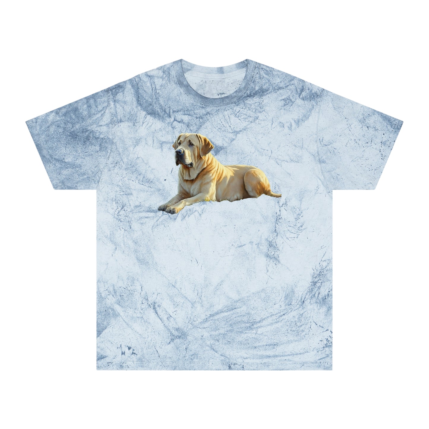 Broholmer Love Unisex Colour Blast T-Shirt