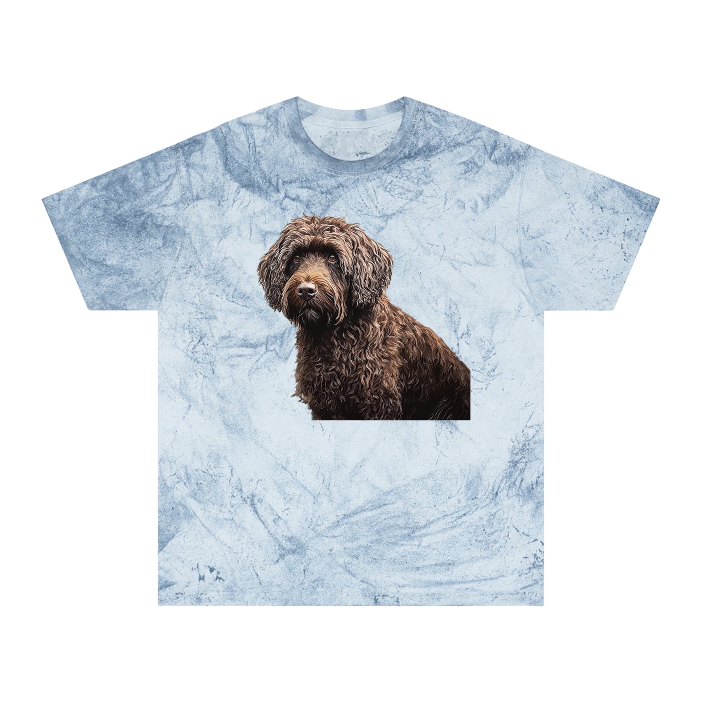 Barbet Unisex Color Blast T-Shirt
