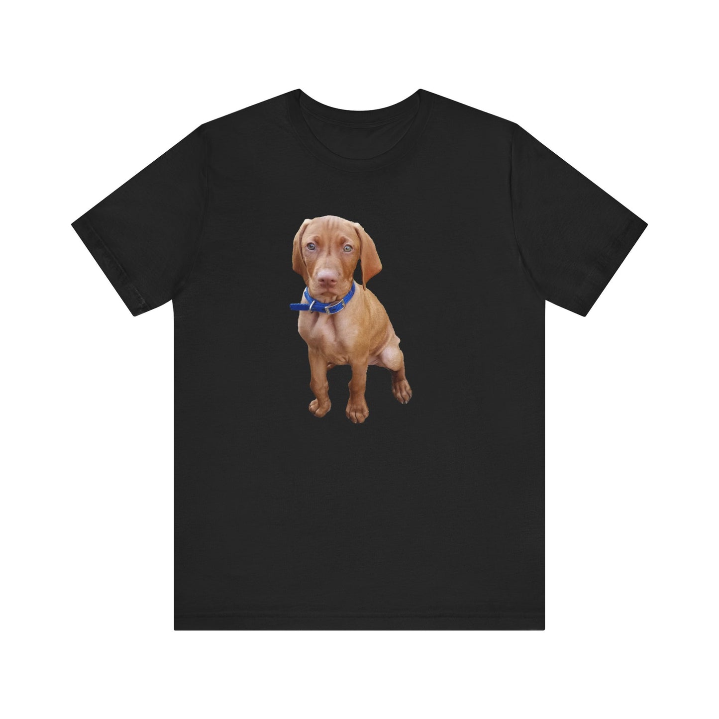 Vizsla 'Augie' Unisex Jersey Short Sleeve Tee