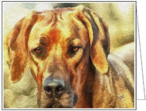 Rhodesian Ridgeback - Zulu - Set of 6 Notecards with envelopes by Dogg
