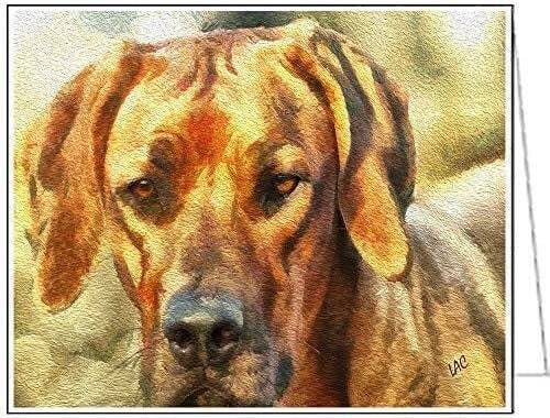 Rhodesian Ridgeback - Zulu - Set of 6 Notecards with envelopes by Dogg