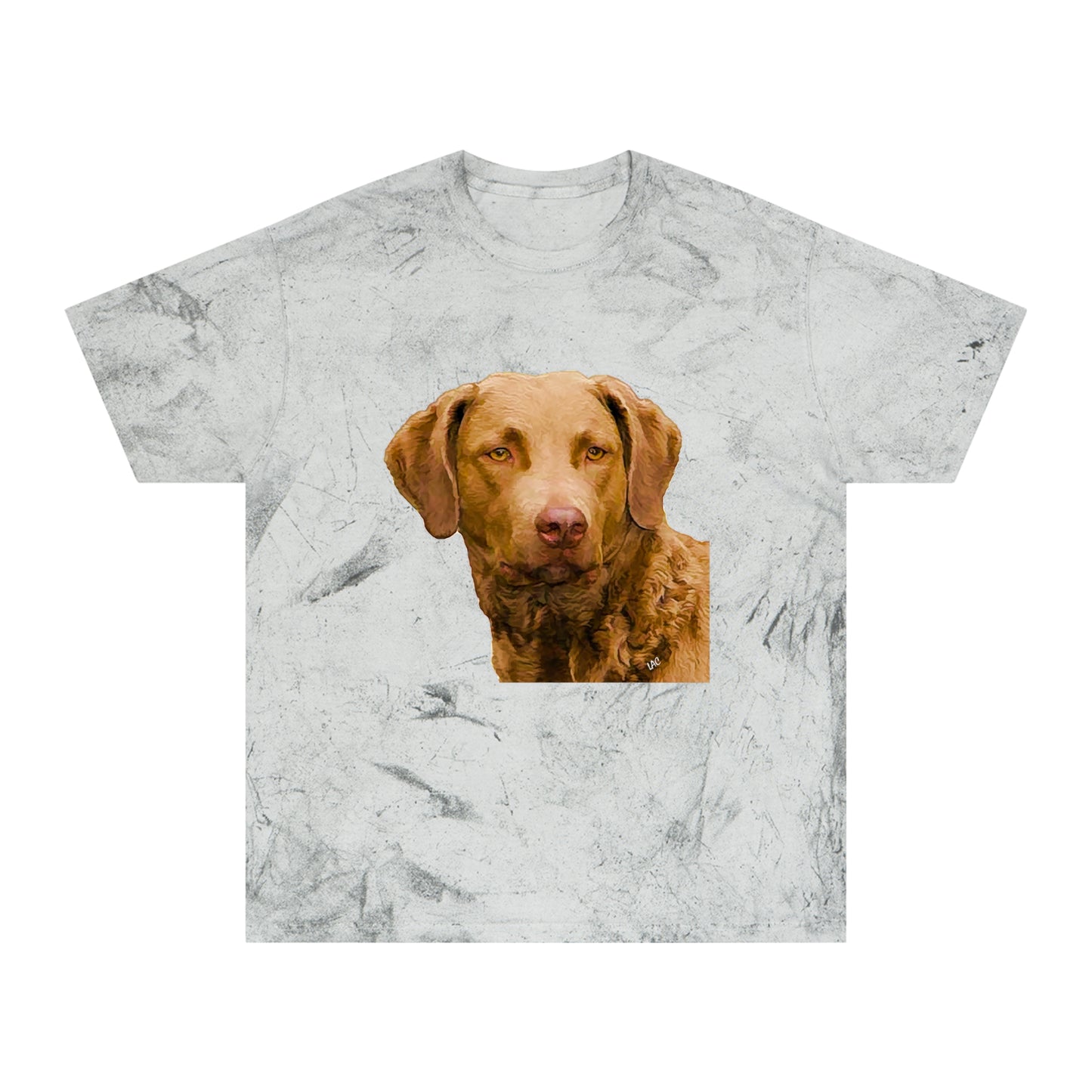 Chesapeake Bay Retriever Classic Color Blast T-Shirt