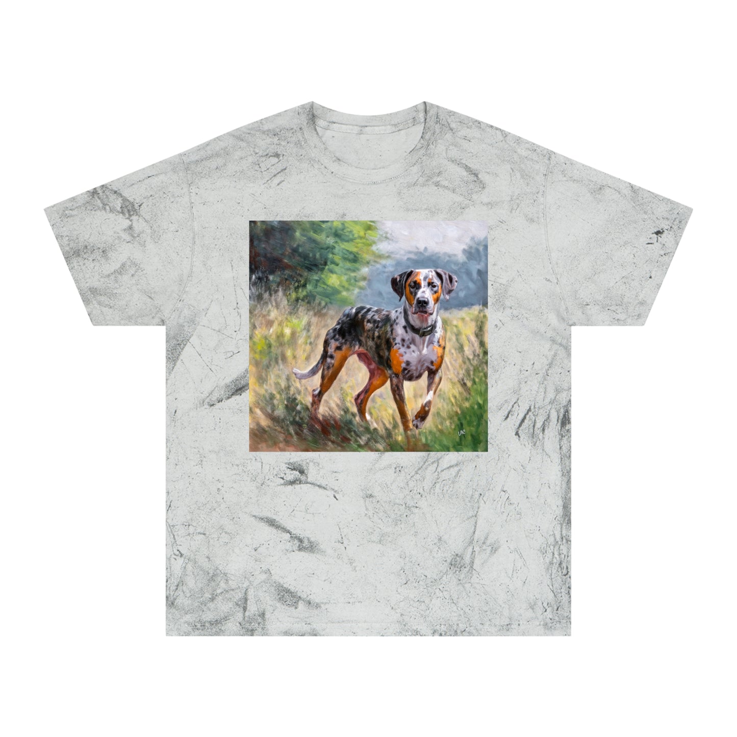 Catahoula Unisex Relaxed Fit Color Blast T-Shirt