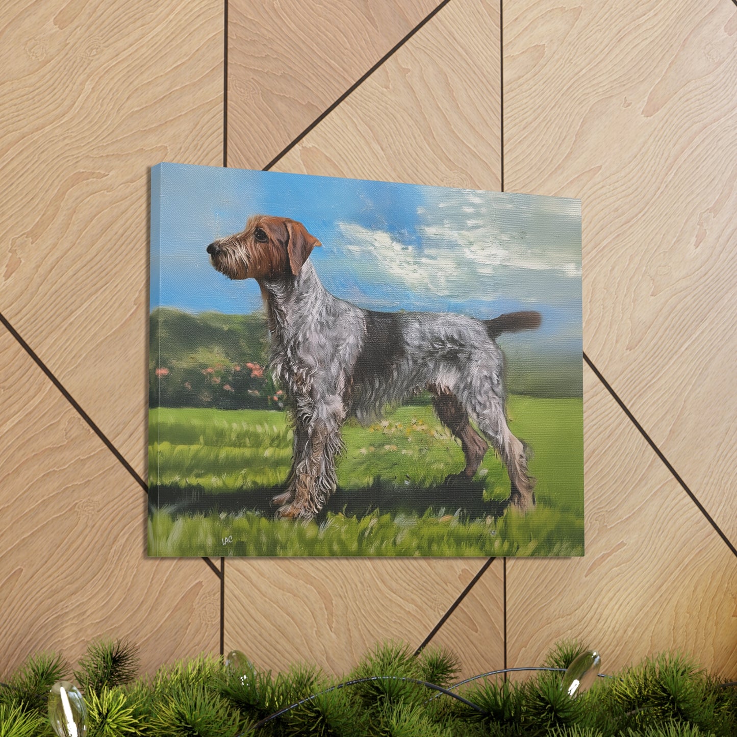 Wirehaired Pointing Griffon Canvas Gallery Wraps 20 x 16 Inches
