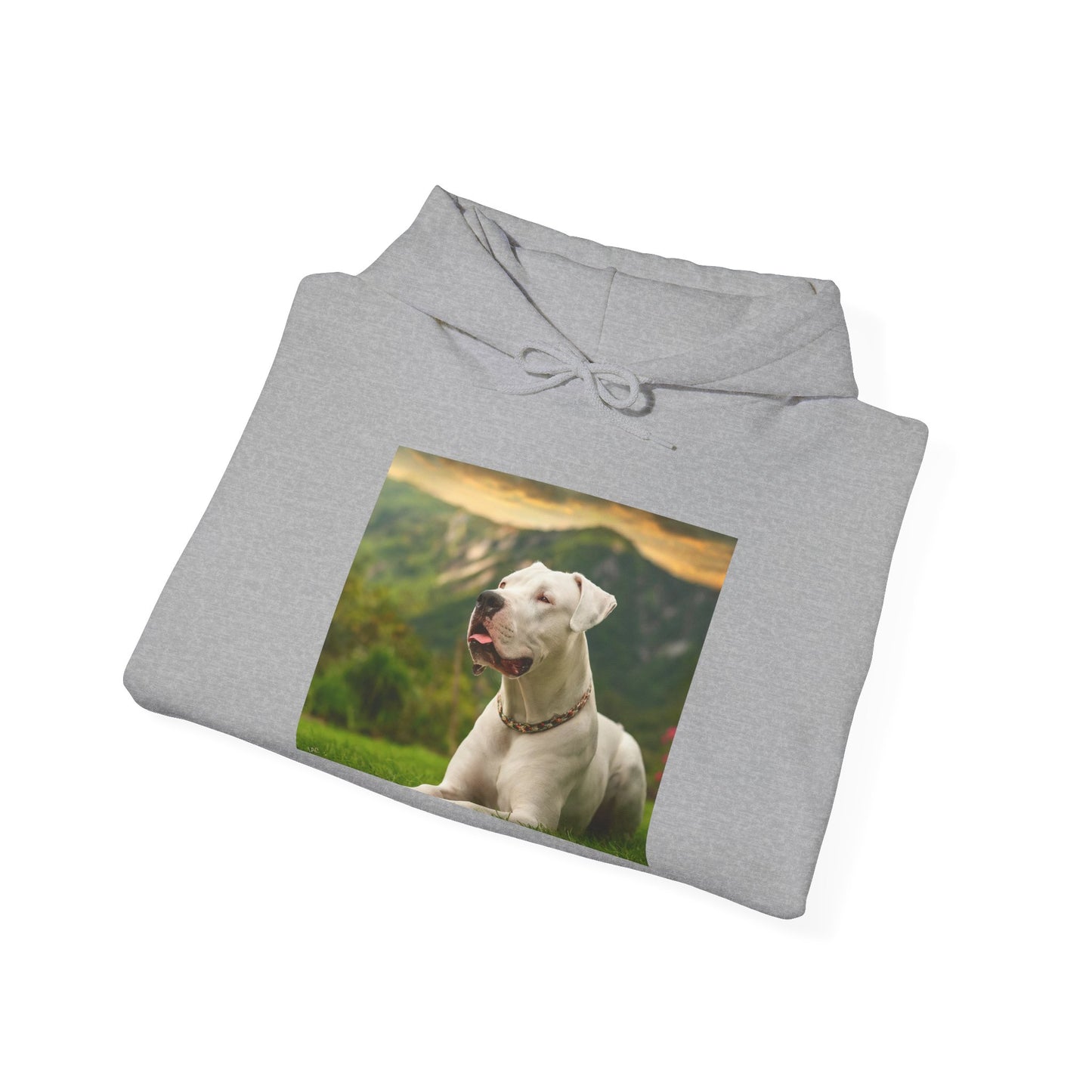 Dogo Argentino 50/50 Hooded Sweatshirt