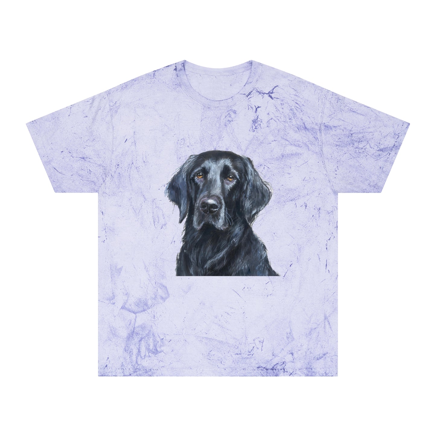 Flat-Coated Retriever Classic Color Blast T-Shirt
