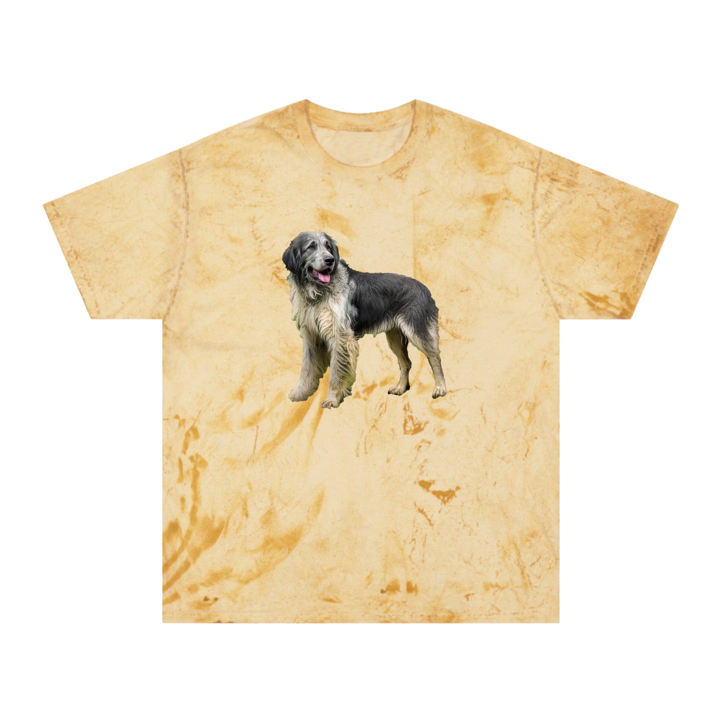 Romanian Carpathian Shepherd Unisex Color Blast T-Shirt