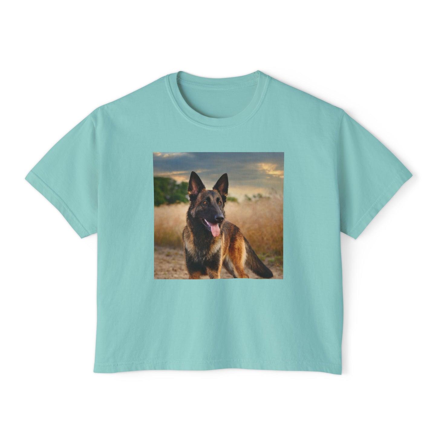 Dutch Sheepdog Women's Oversized Boxy Tee