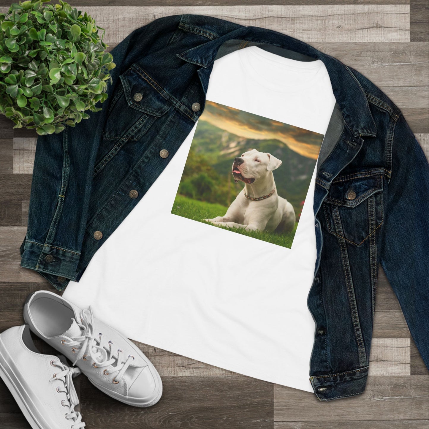Dogo Argentino Women's Relaxed Fit Cotton Tee
