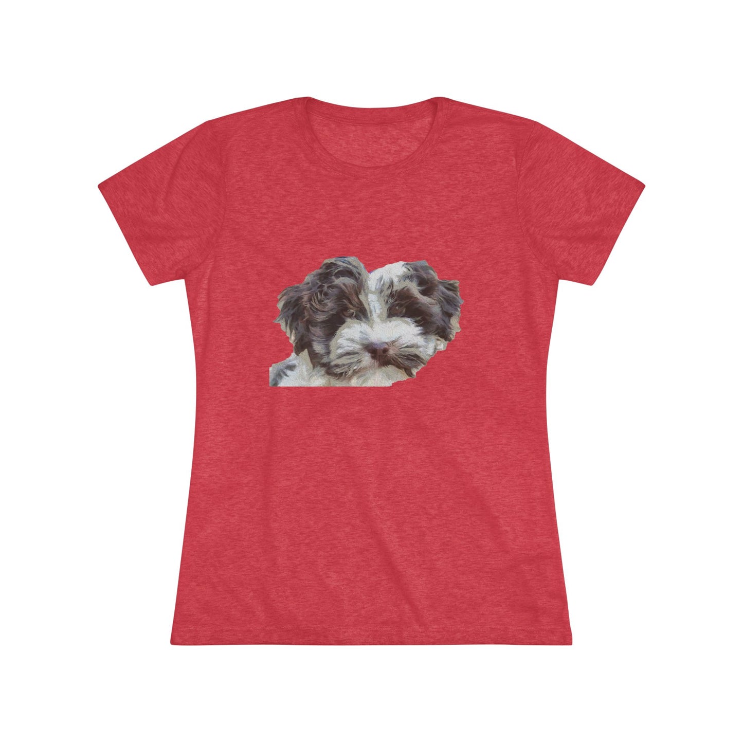 Havanese 'Fideo' Women's Slim Fit Triblend Tee
