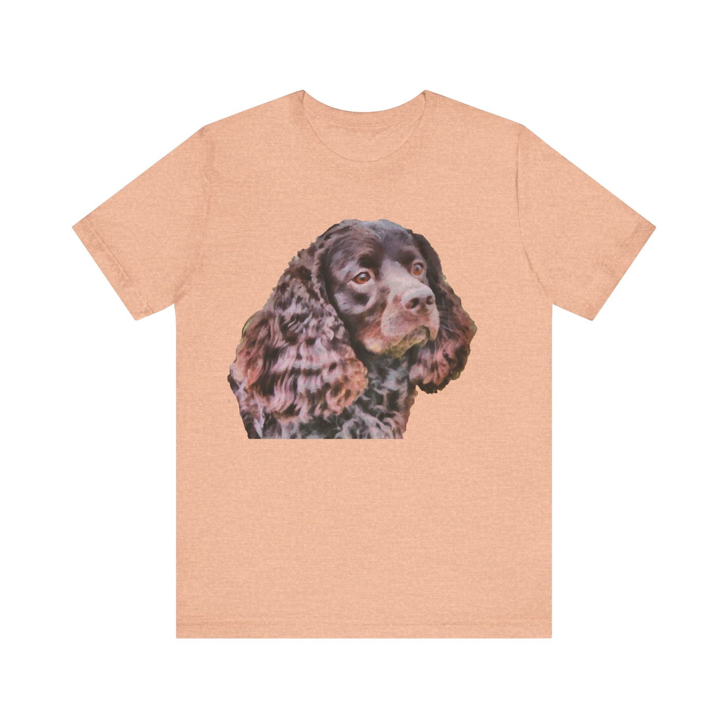 American Water Spaniel - Unisex Jersey Short Sleeve Tee