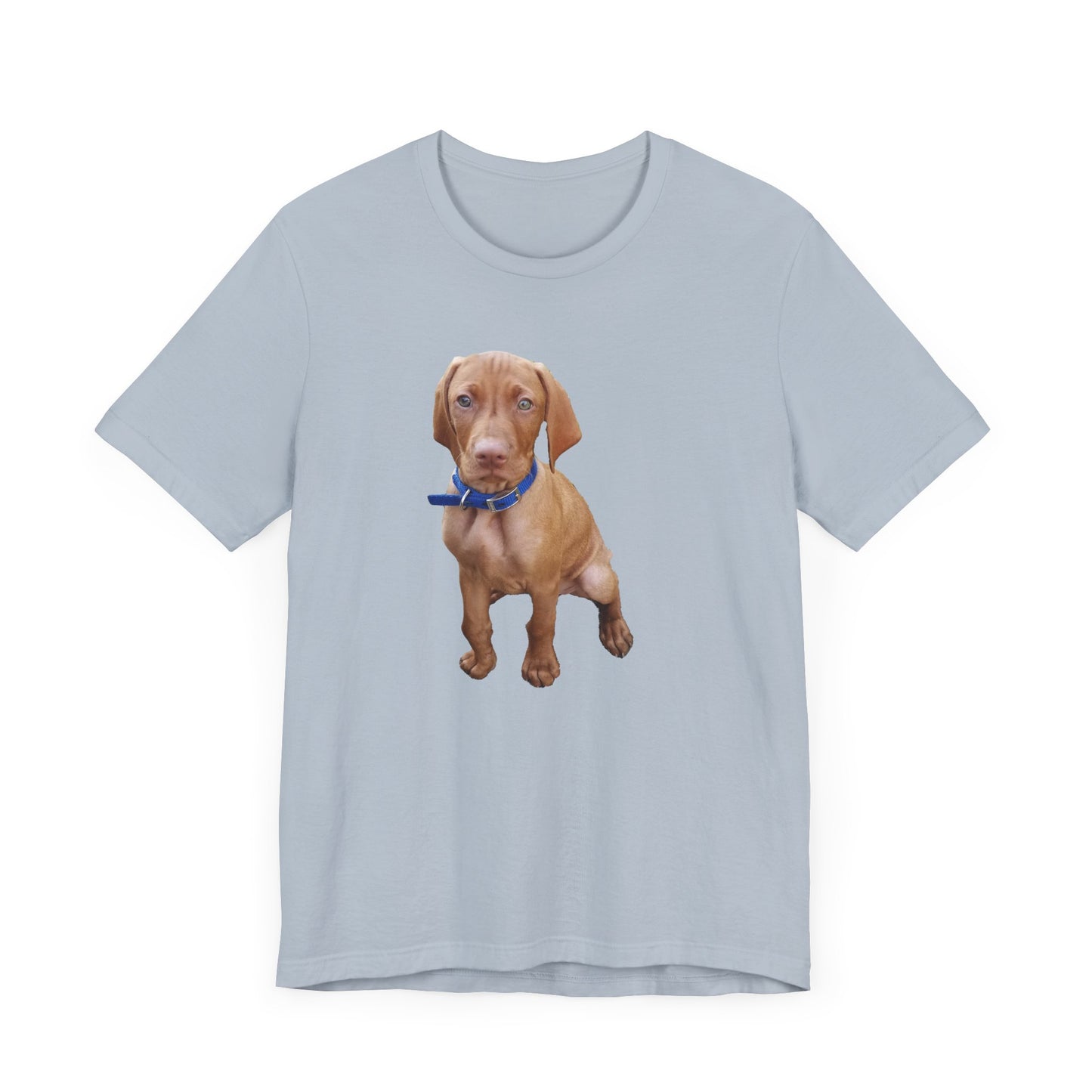 Vizsla 'Augie' Unisex Jersey Short Sleeve Tee
