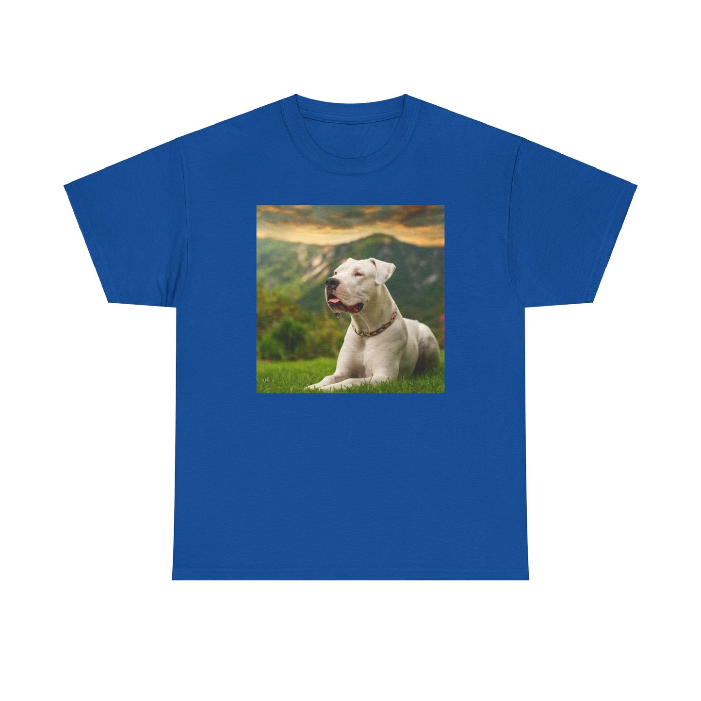 Dogo Argentino Heavy Cotton Tee
