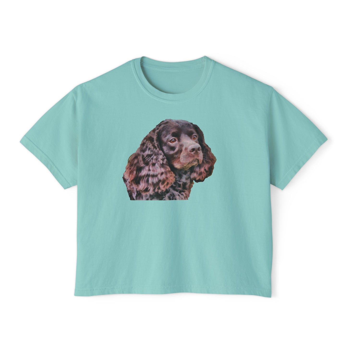American Water Spaniel Women's Oversized Boxy Tee