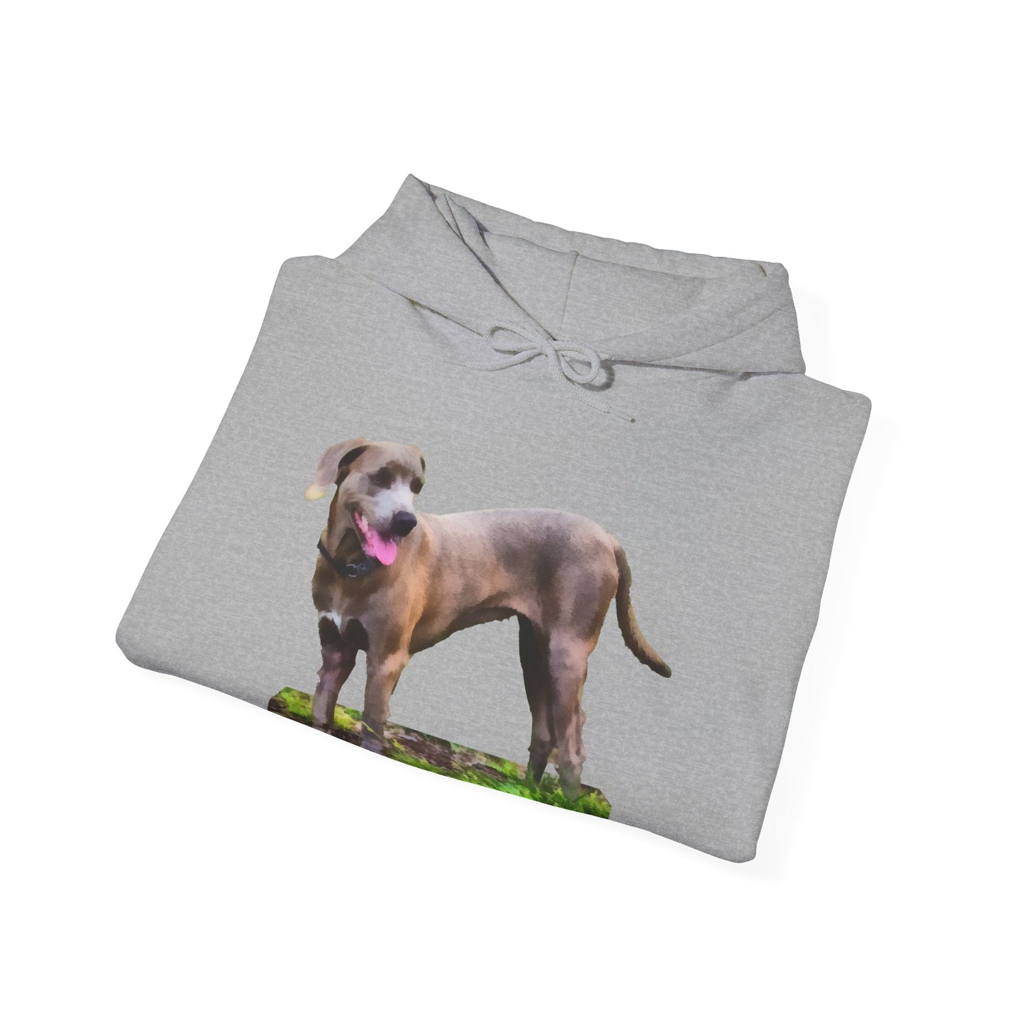 Blue Lacy 'Tex' Unisex 50/50 Hoodie