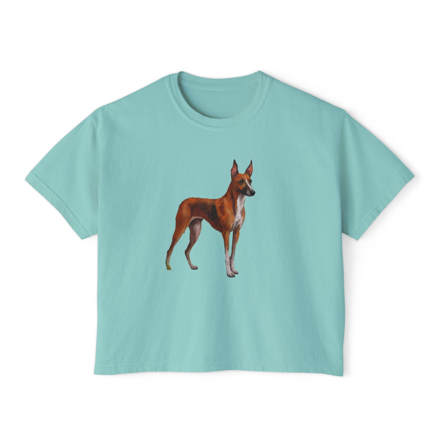 Azawakh Women's Oversized Boxy Tee: A Unique Expression of Elegance