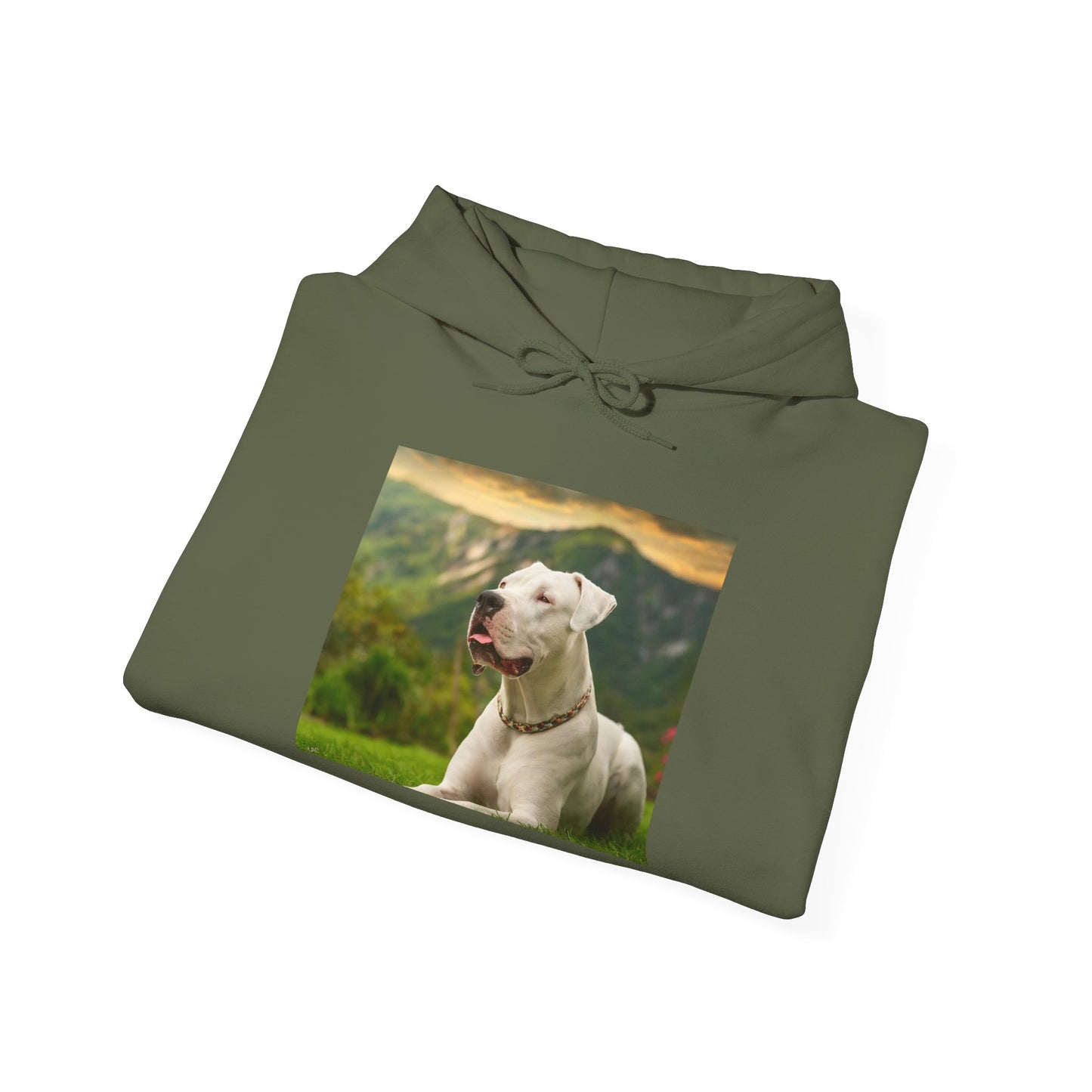 Dogo Argentino 50/50 Hooded Sweatshirt