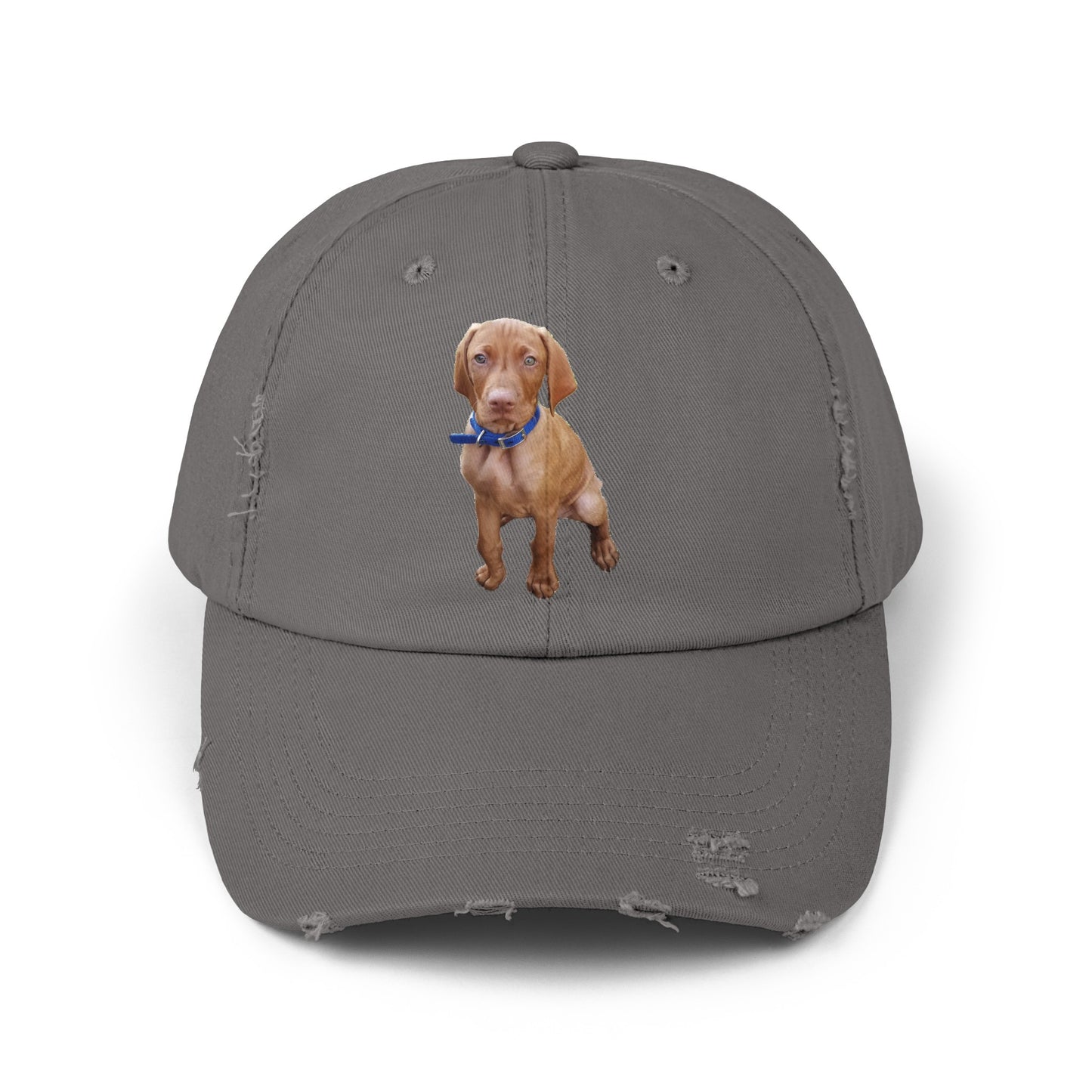 Vizsla Augie Test Unisex Distressed Cap