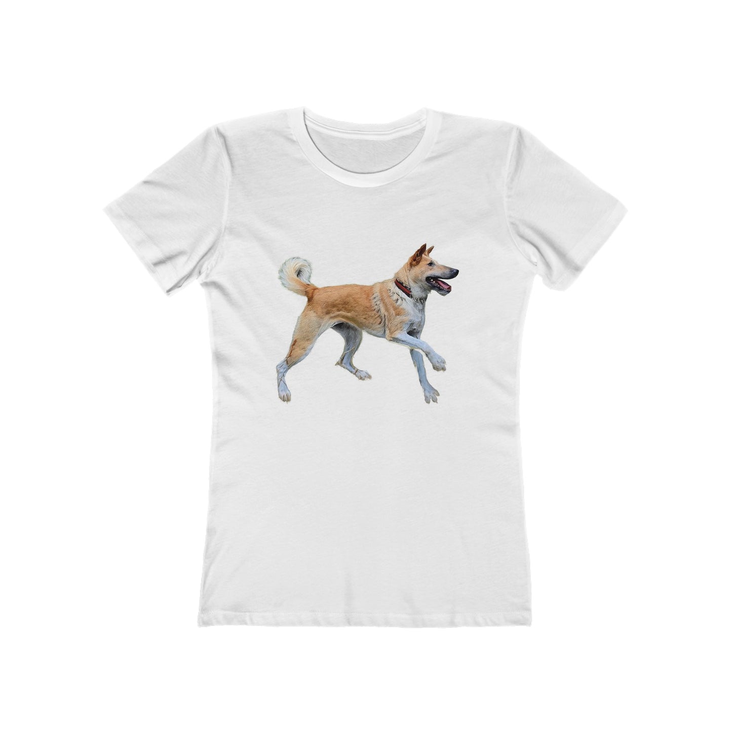 Korean Jindo Women's Slim Fitted Ringspun Cotton Tee