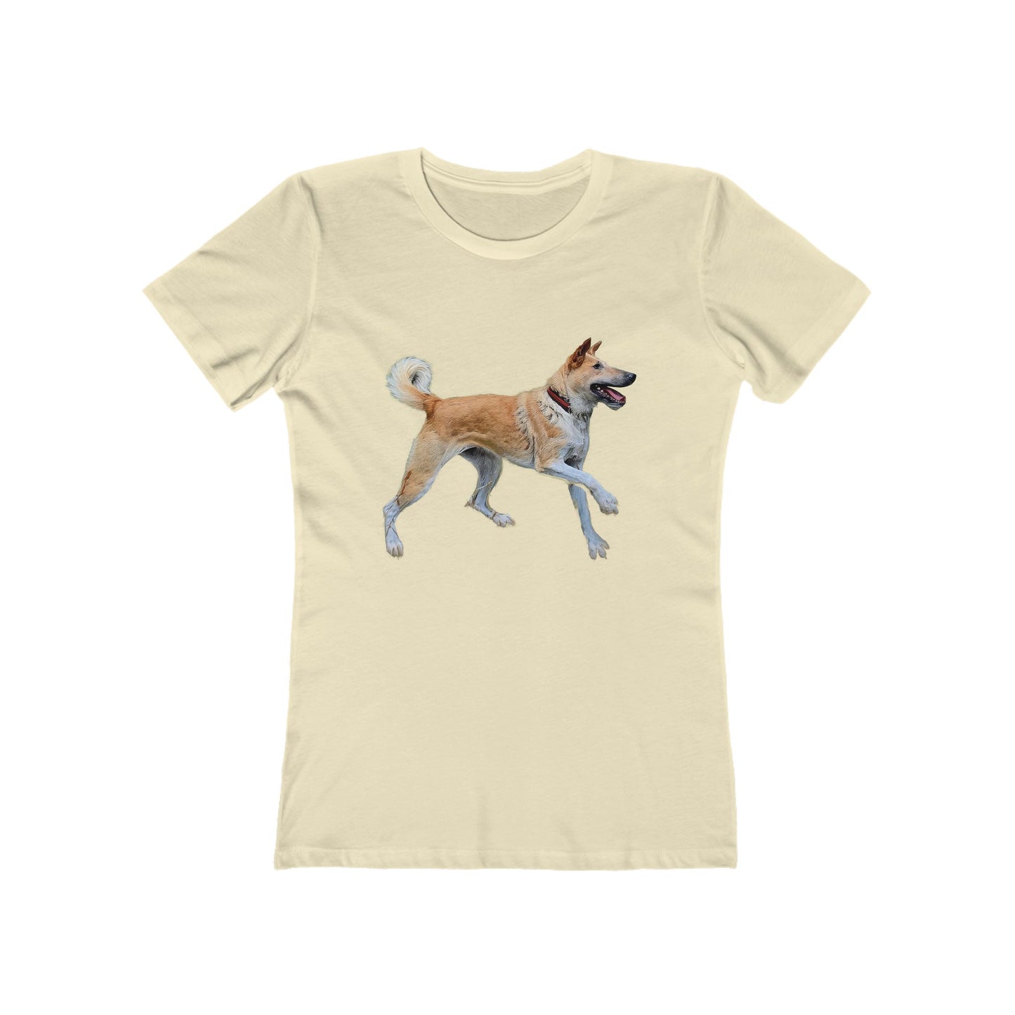 Korean Jindo Women's Slim Fitted Ringspun Cotton Tee