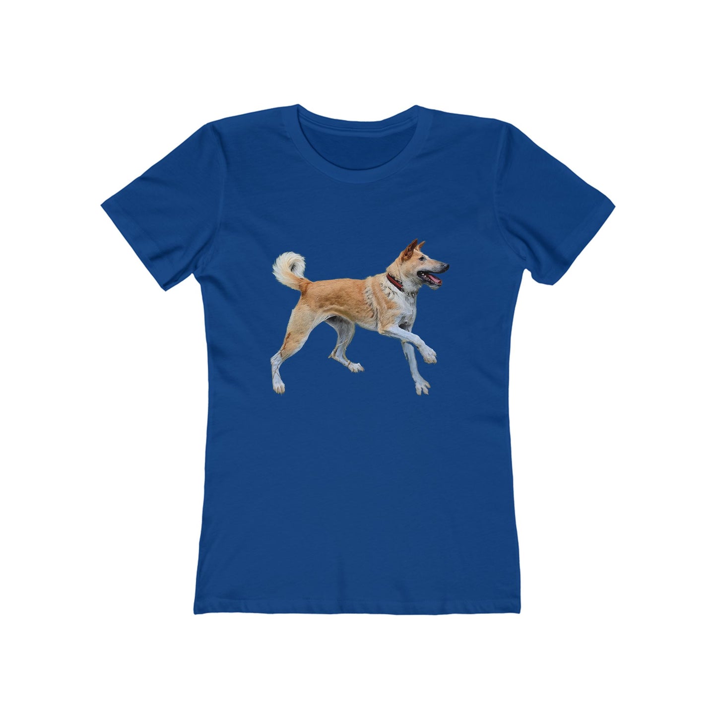 Korean Jindo Women's Slim Fitted Ringspun Cotton Tee