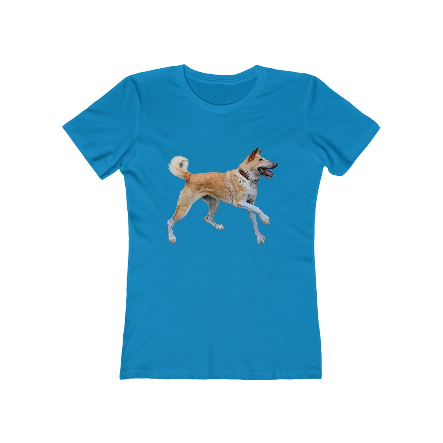 Korean Jindo Women's Slim Fitted Ringspun Cotton Tee