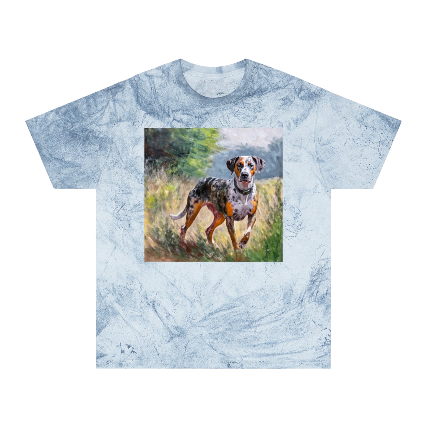 Catahoula Unisex Relaxed Fit Color Blast T-Shirt