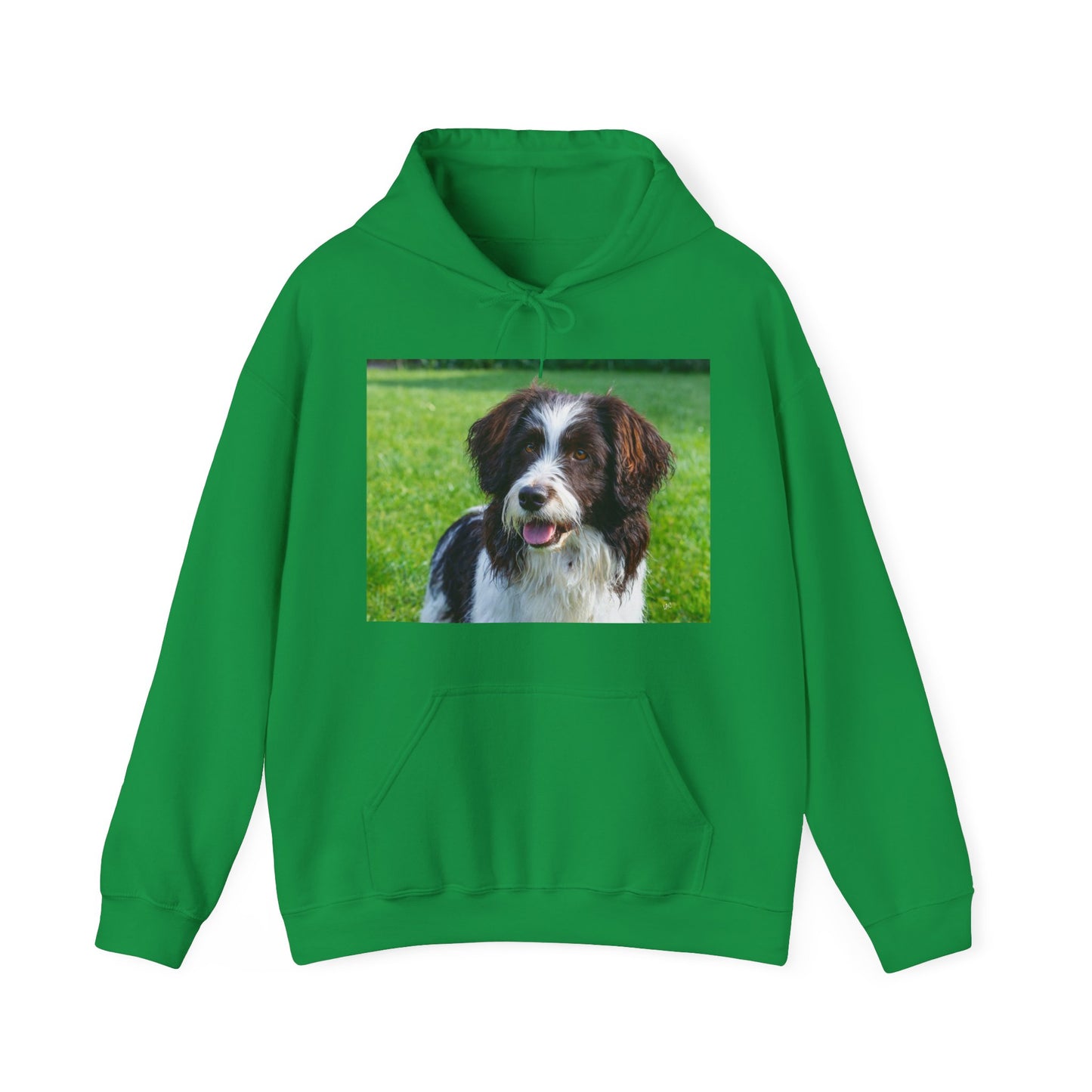Drentsche Patrijshond Classic 50/50 Hooded Sweatshirt