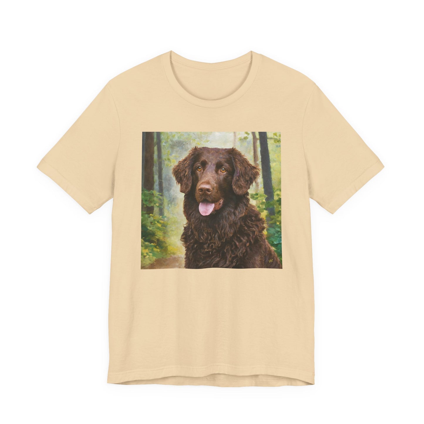 Curly Coated Retriever Jersey Short Sleeve Tee