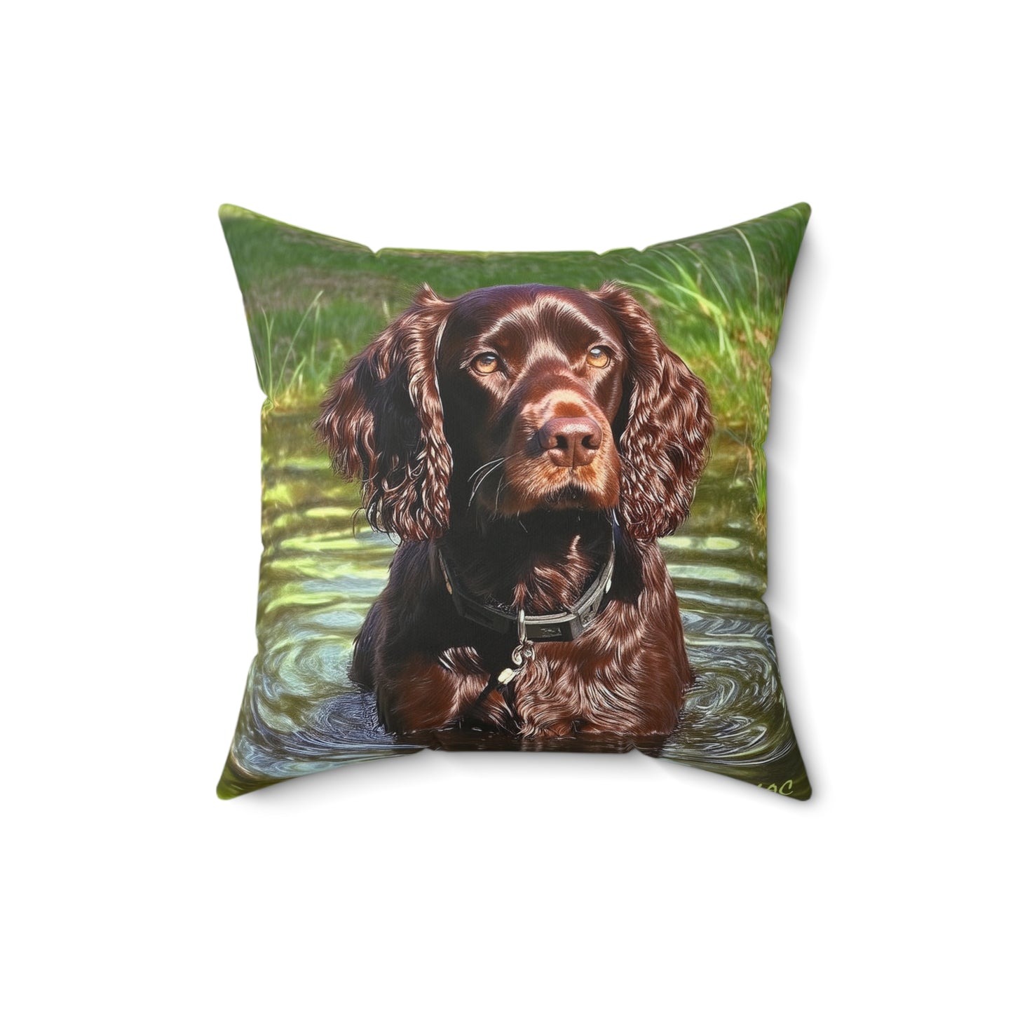 Boykin Spun Polyester Throw Pillow
