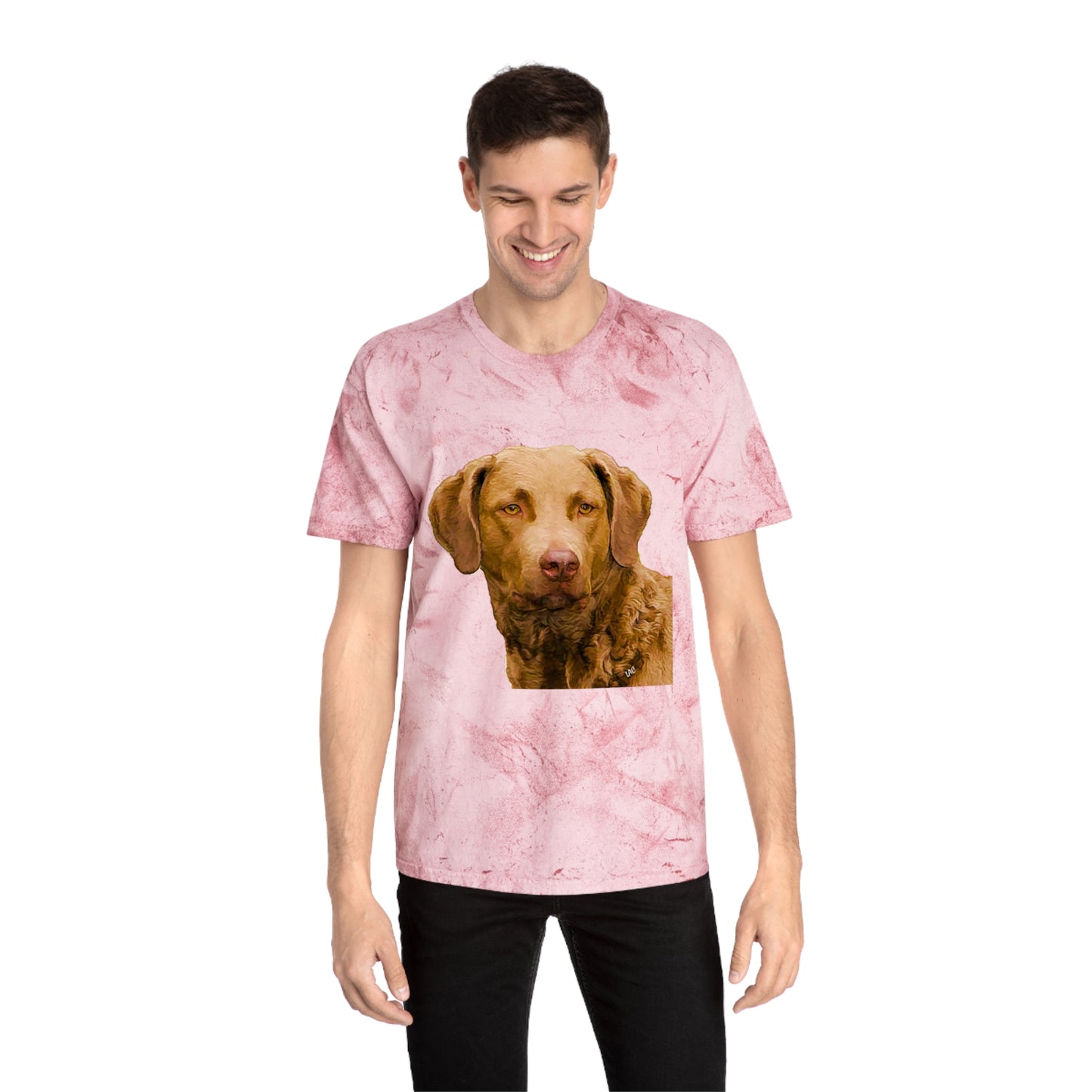 Chesapeake Bay Retriever Classic Color Blast T-Shirt
