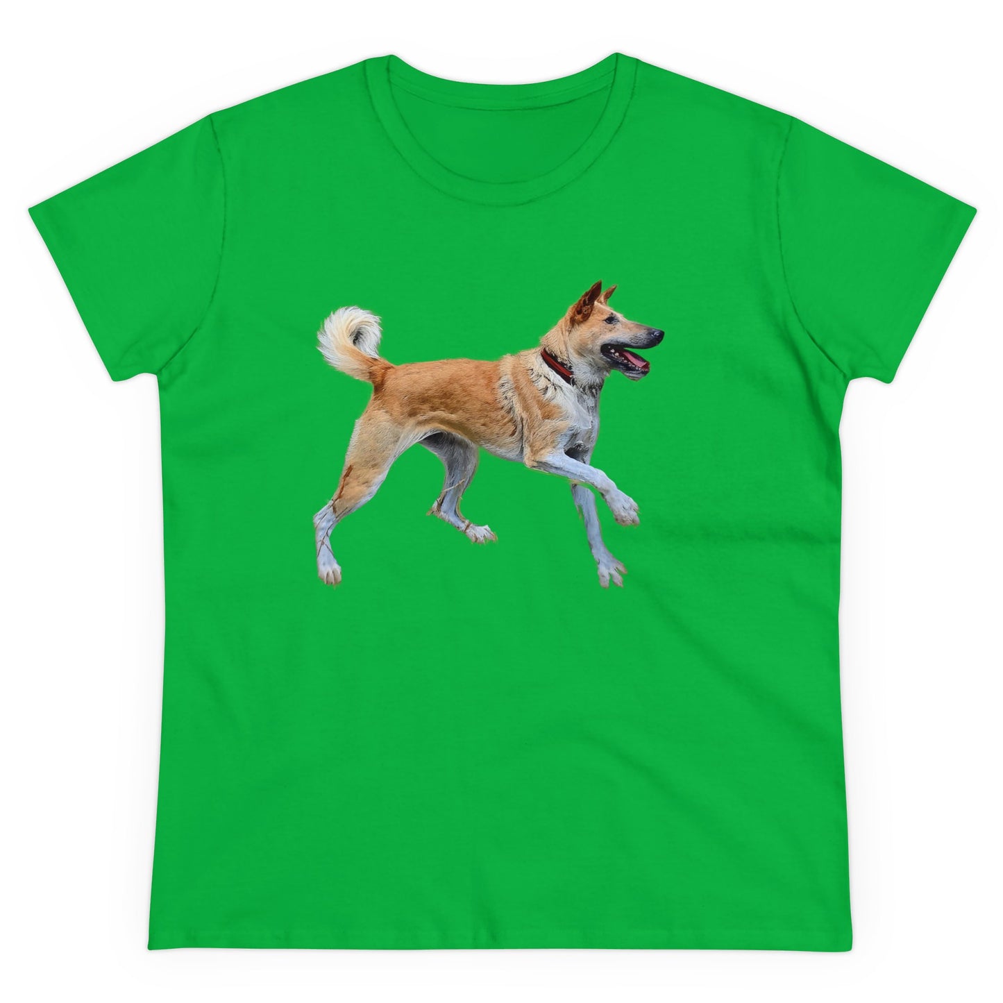 Korean Jindo Women's Midweight Cotton Tee